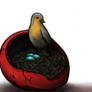 A Robin's Nest