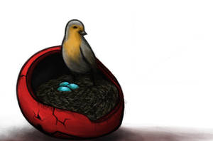 A Robin's Nest