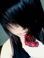 red, rotting, rose.