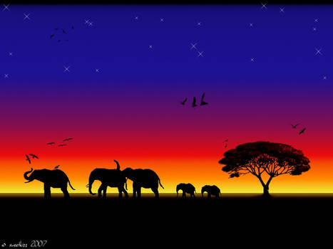 Safari at Night