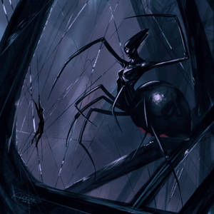 Human Black Widow