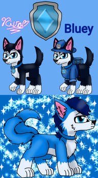 Paw Patrol: Bluey