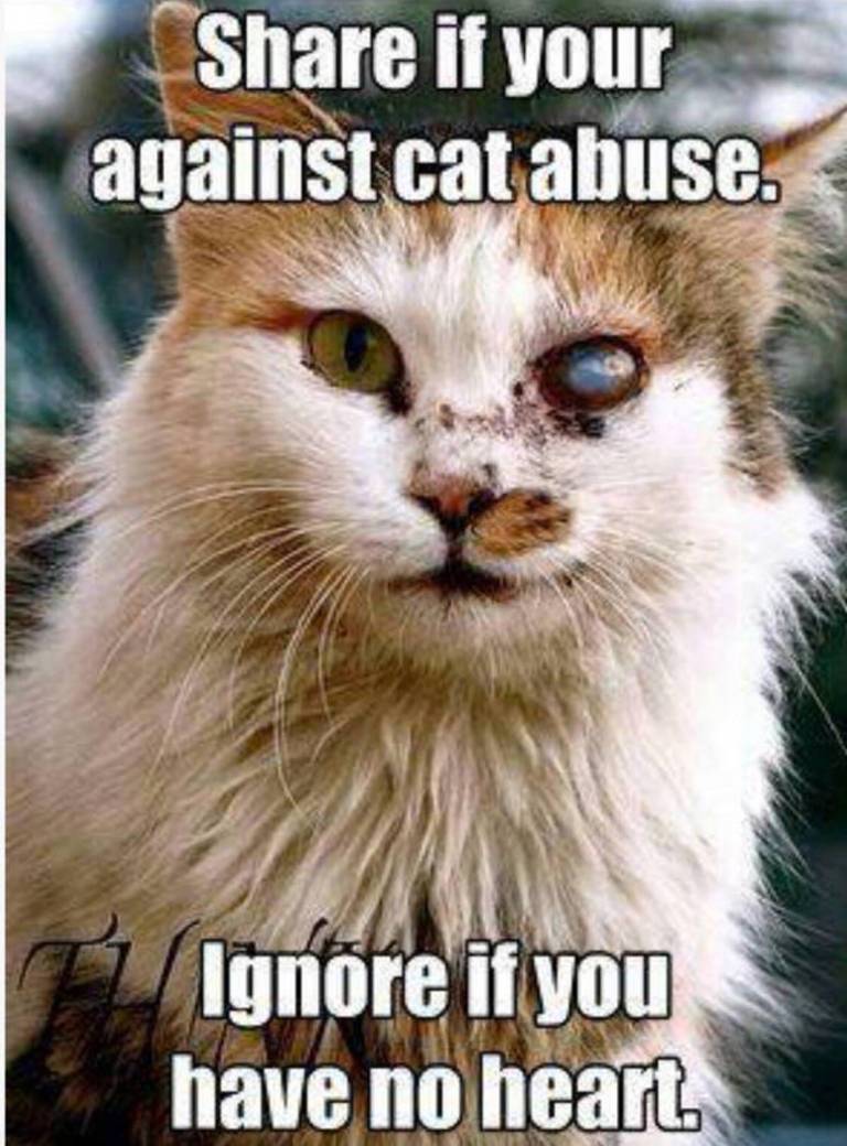 I am against animal abuse!! by RivaDiamond on DeviantArt