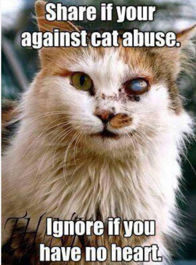 I am against animal abuse!! by RivaDiamond on DeviantArt I am against animal abuse!! by RivaDiamond on DeviantArt