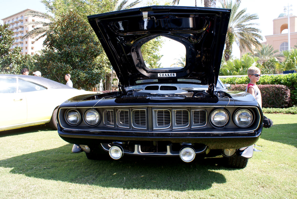 Teeth of the Cuda