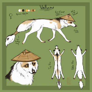 Vallume Reference Sheet