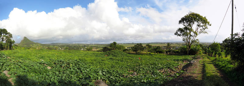 La Laura Malenga Panorama II