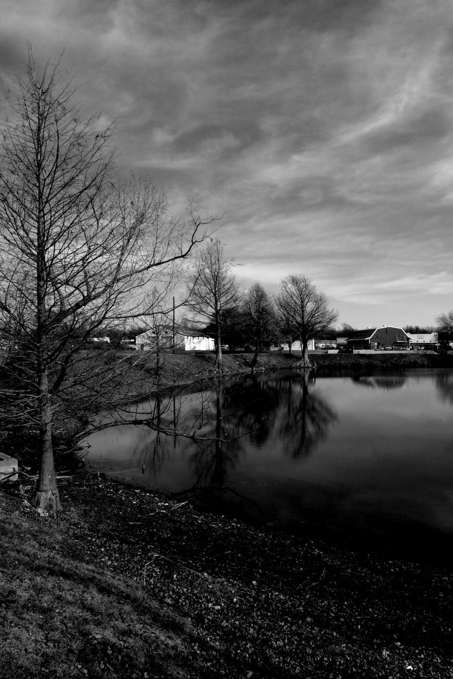 Murphy Park Lake 7