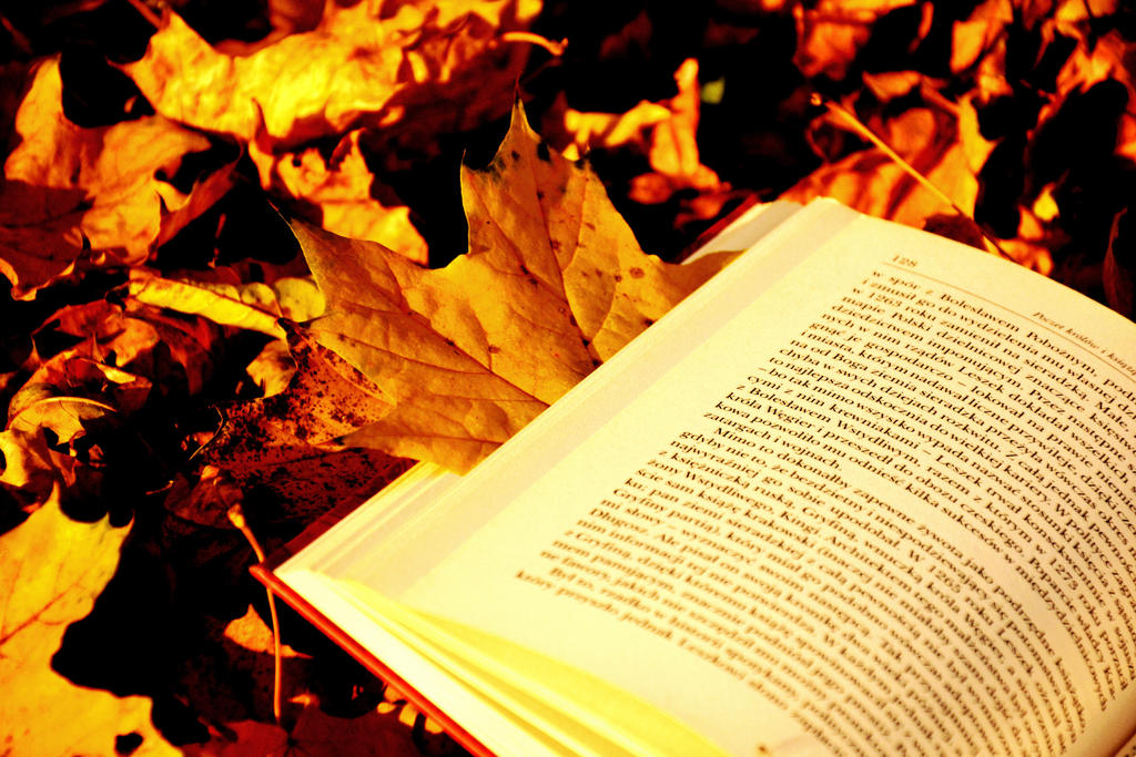 Купить осень книга. Книги о осенней природе. Фон лампа с книгой осень. Забытая книга осень. Книга осень 93.