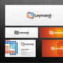 Design stunning logo for the start-up Leynvand.com