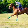 Cincinnati Polo Club (2)