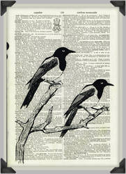 Magpies on Dictionary Paper