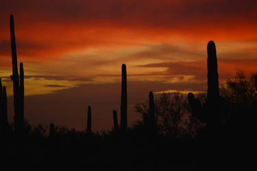 10 minutes after sunset