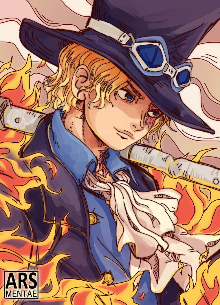 Sabo (One Piece) by ArsMentae on DeviantArt