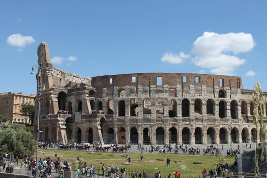 ROMA - Coliseum