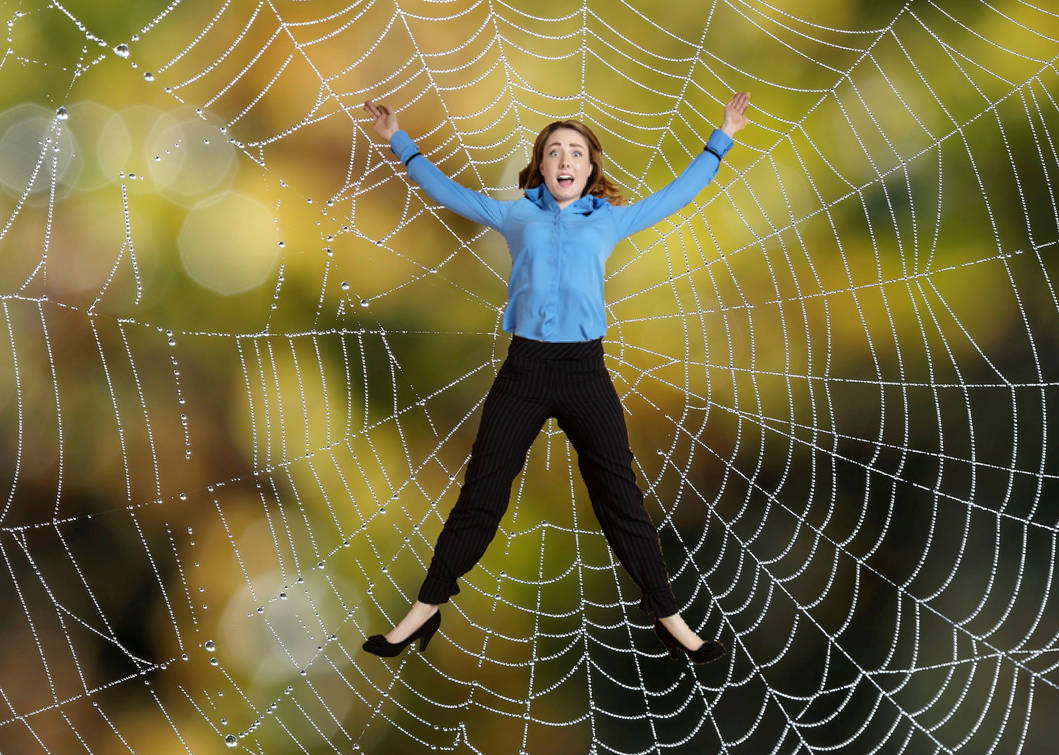 Woman Stuck On A Spiderweb By 5798 On DeviantArt woman-stuck-on-a-spiderweb-by-5798-on-deviantart