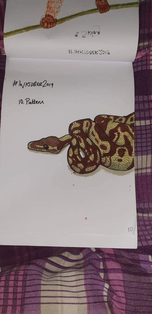 RoyalPythons | DeviantArt
