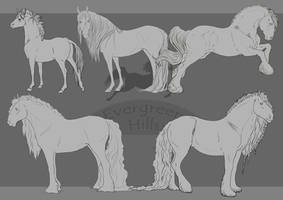 Horse Lines Pack