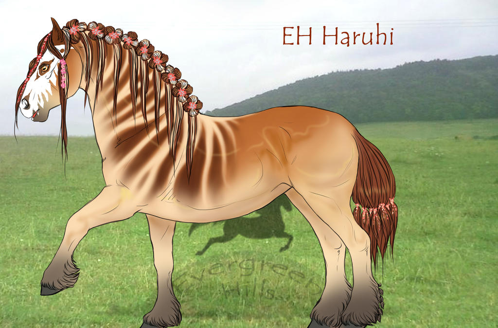Samuni SamUni SHEETS on EH-Studbooks - DeviantArt