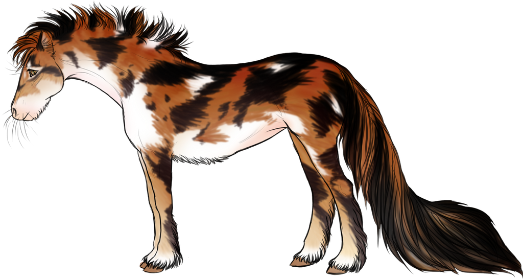 Equidae Ferus for earthshala