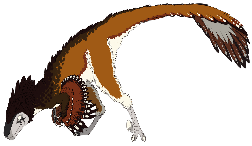 Haruchasaurus Deviantart Haruraptor by Harusarchus on DeviantArt