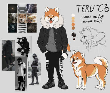 Teru ref sheet