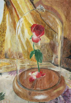 Explore The Best Beautyandthebeastrose Art Deviantart Explore The Best Beautyandthebeastrose Art Deviantart