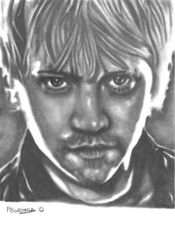 228085423 823972318257560 5697557775024985273 N