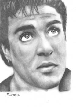 260437188 597324488209017 5794898755996834422 N