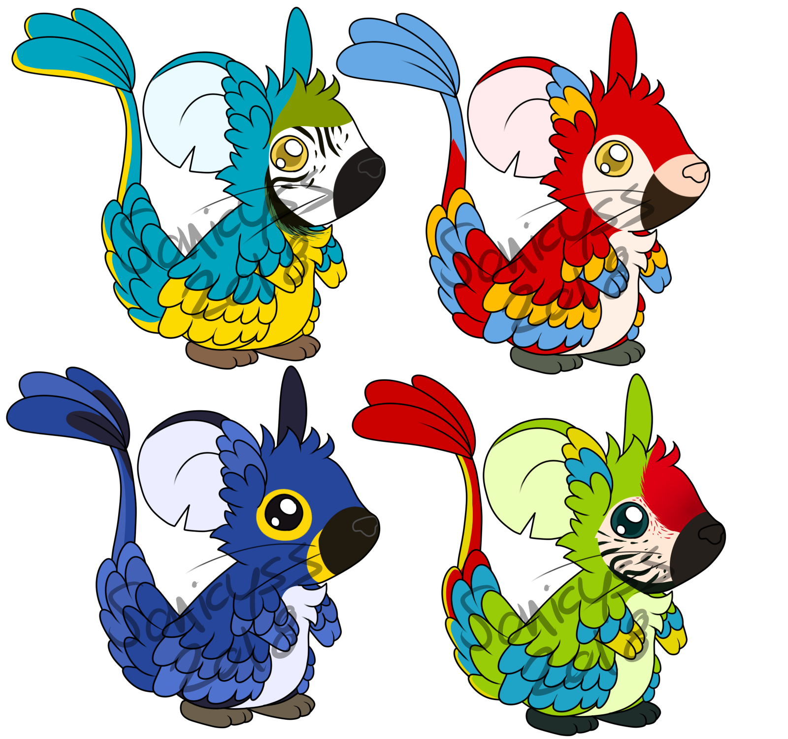 Macaw Fur Concepts