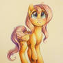 Fluttershy
