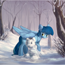 Commission: in winter