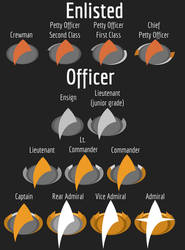 Combadges With Ranks