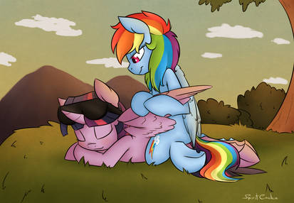 Commission: Rainbow Dash and Twilight