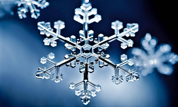 The Mesmerizing Snowflake