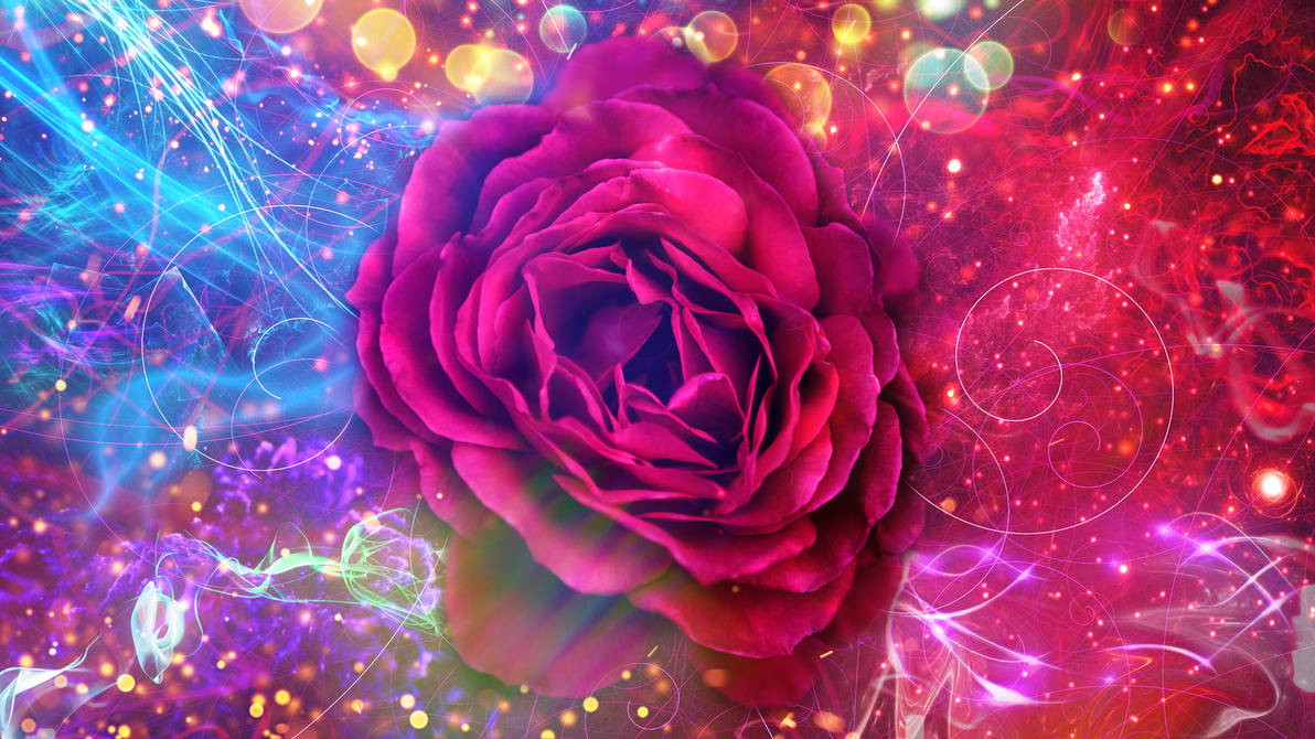 Magic Red Rose by COOLZONE17500 on DeviantArt