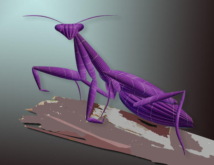 Praying Mantis by DavidKong on DeviantArt