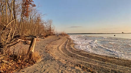 Trees/Beach/Ice... Life In Canada 2