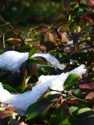 snowfall in october