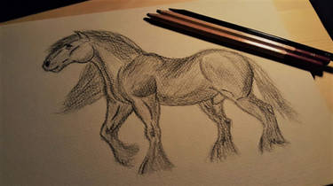 Charcoal Horse