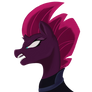 Tempest shadow