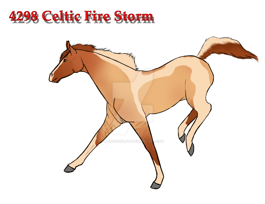 4298 Celtic Fire Storm