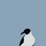 Seagull Material Wallpaper