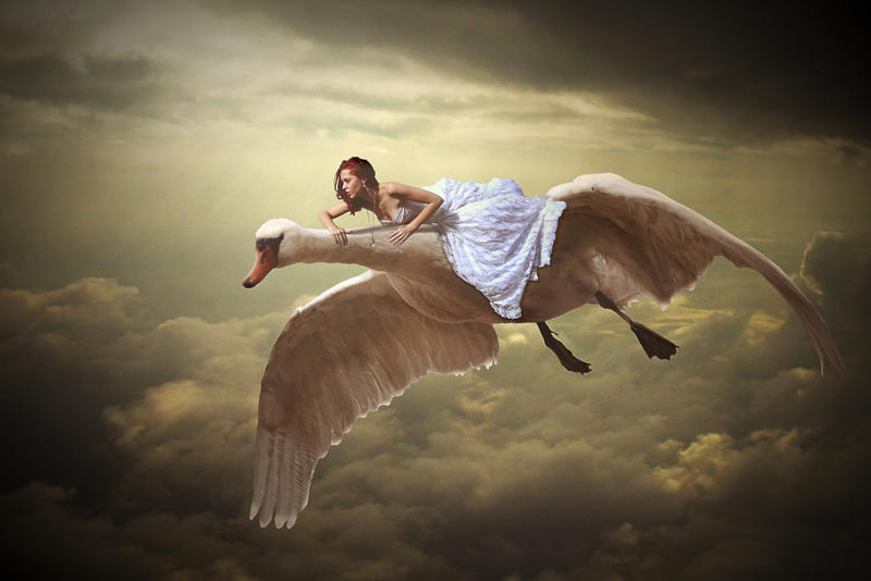 Mit dem Schwan fliegen by Stiine86 on DeviantArt