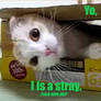 Lolcatz - Awesome is a box