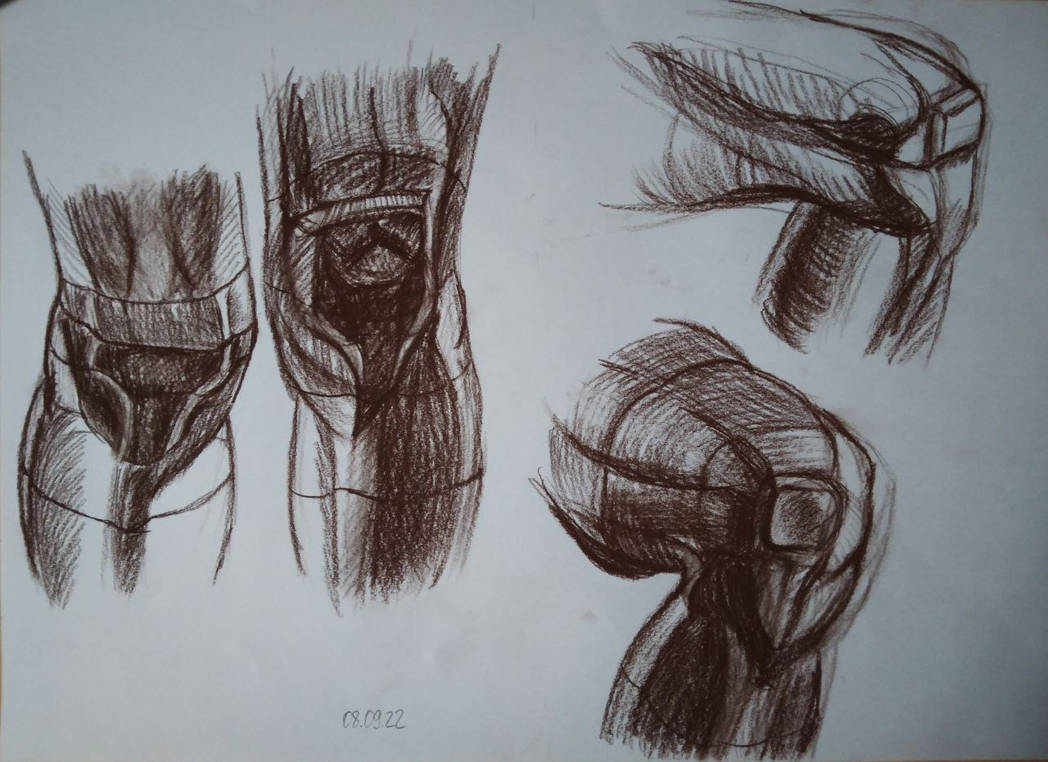 Deviantart Knees Knee study by KathBez on DeviantArt