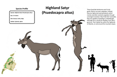 Highland Satyr