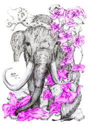 Mammoth Pink Flowers
