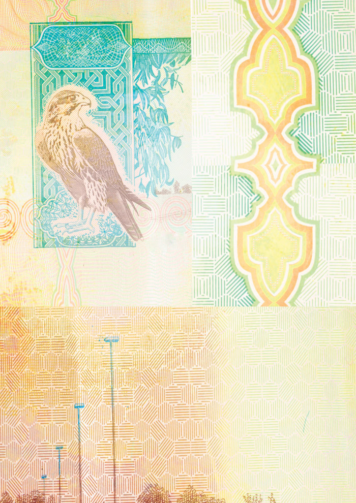 emirati dirham bill II