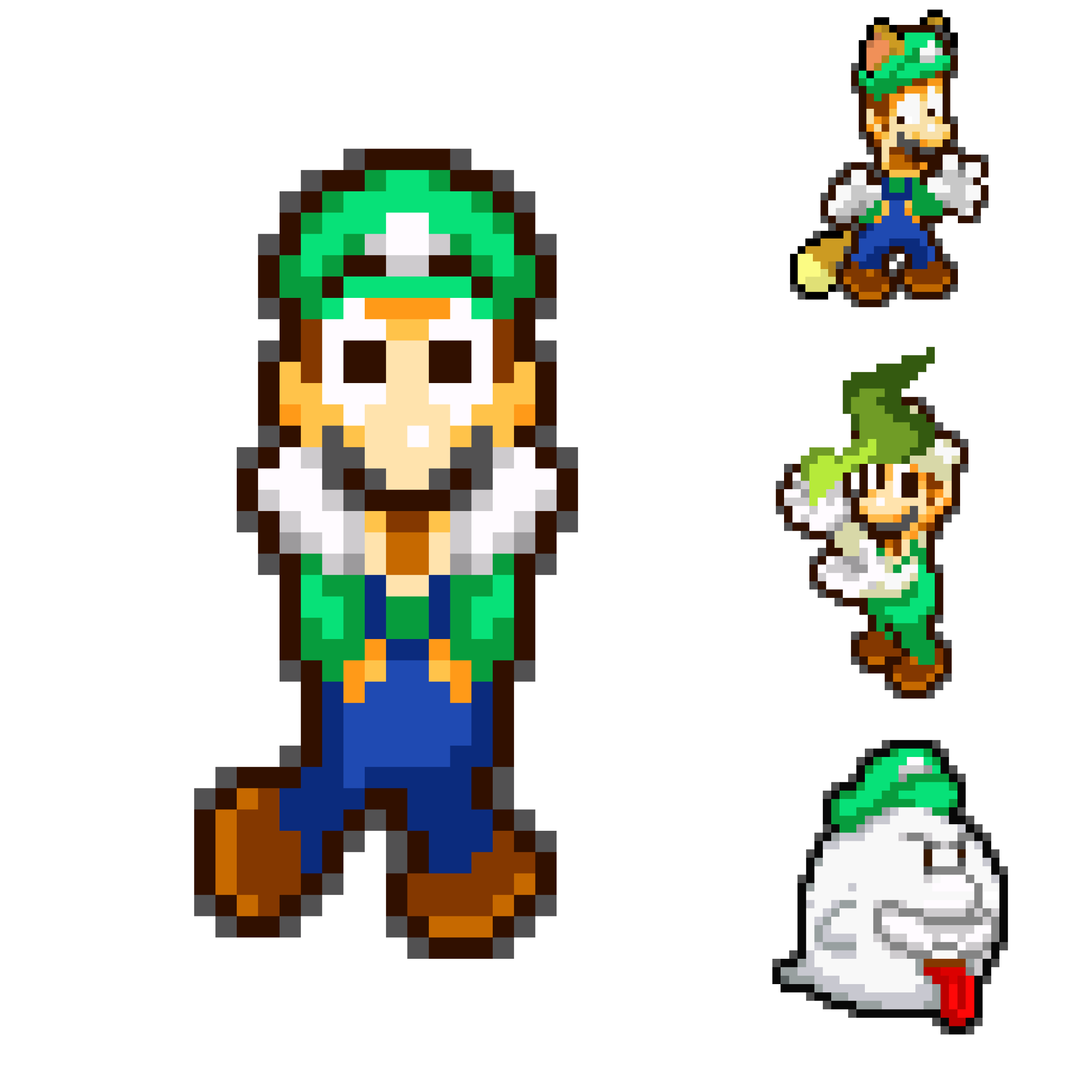 Luigi and his Powerup Forms